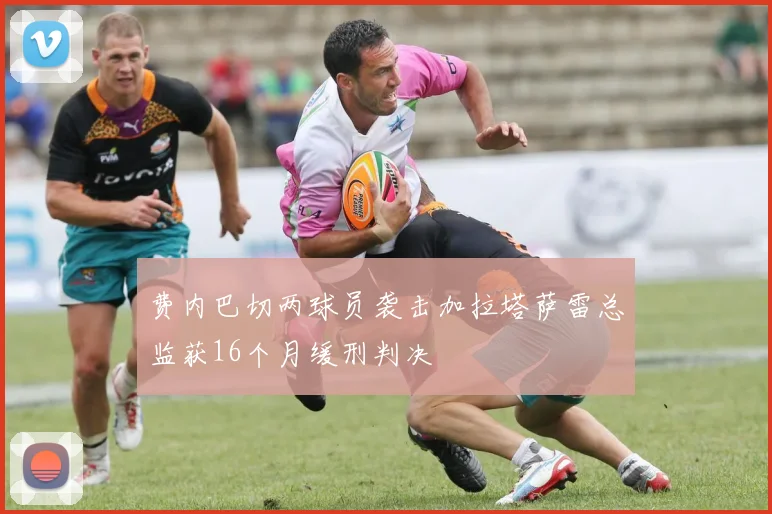 费内巴切两球员袭击加拉塔萨雷总监获16个月缓刑判决