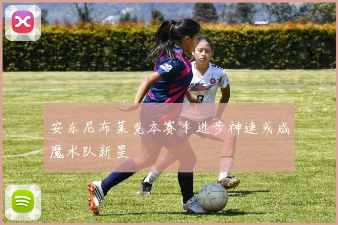 安东尼布莱克本赛季进步神速或成魔术队新星