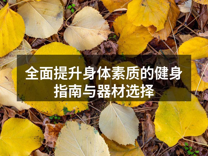全面提升身体素质的健身指南与器材选择