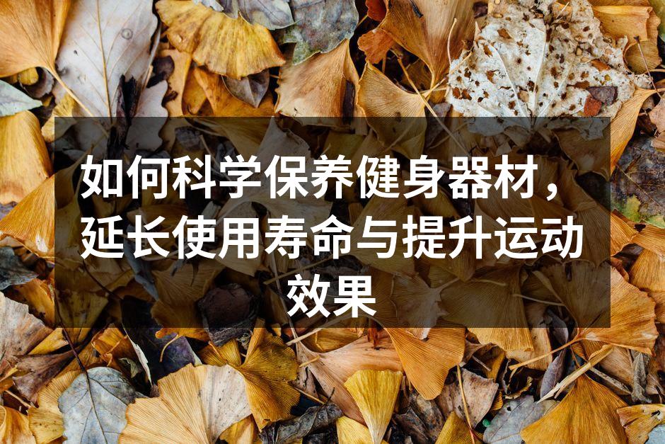 如何科学保养健身器材，延长使用寿命与提升运动效果