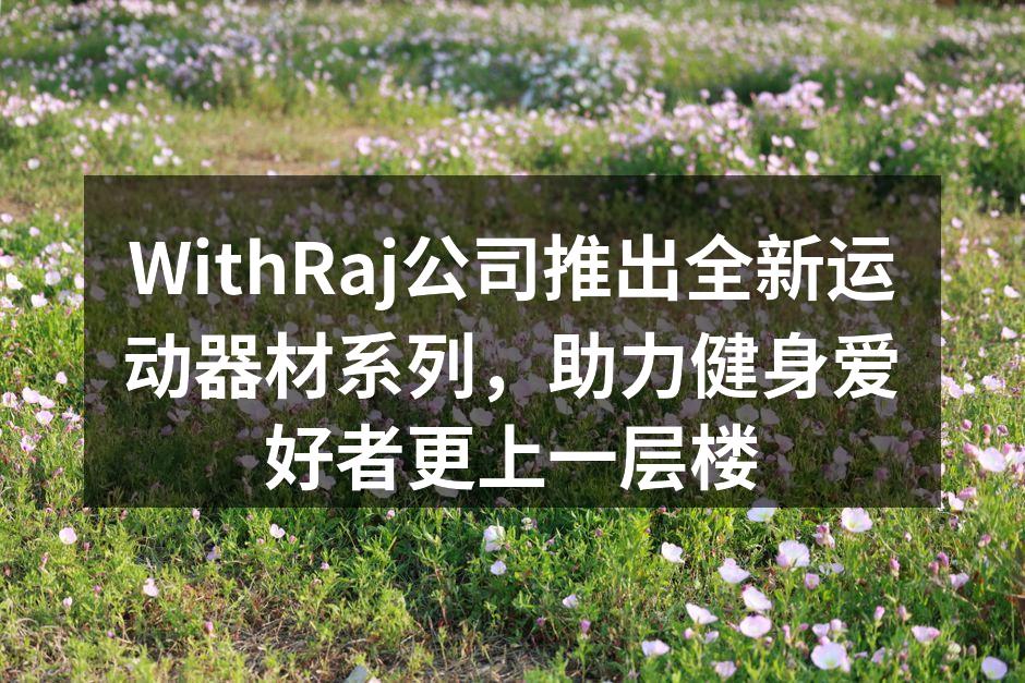 全新多功能健身器械，助力高效训练