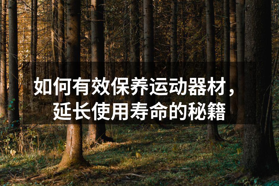 如何有效保养运动器材，延长使用寿命的秘籍